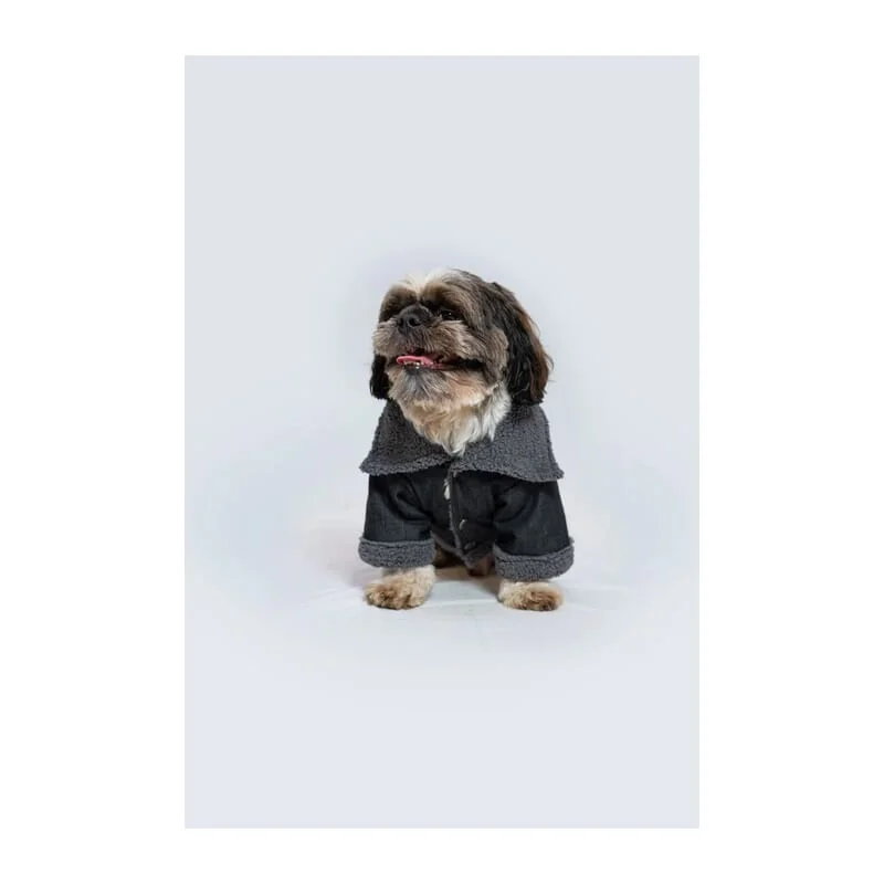 Pawgy Pets Warm Denim Jacket - Grey