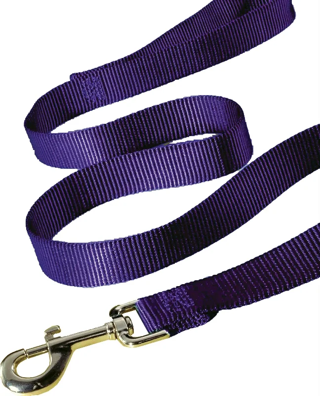 Single Thick Nylon Lead