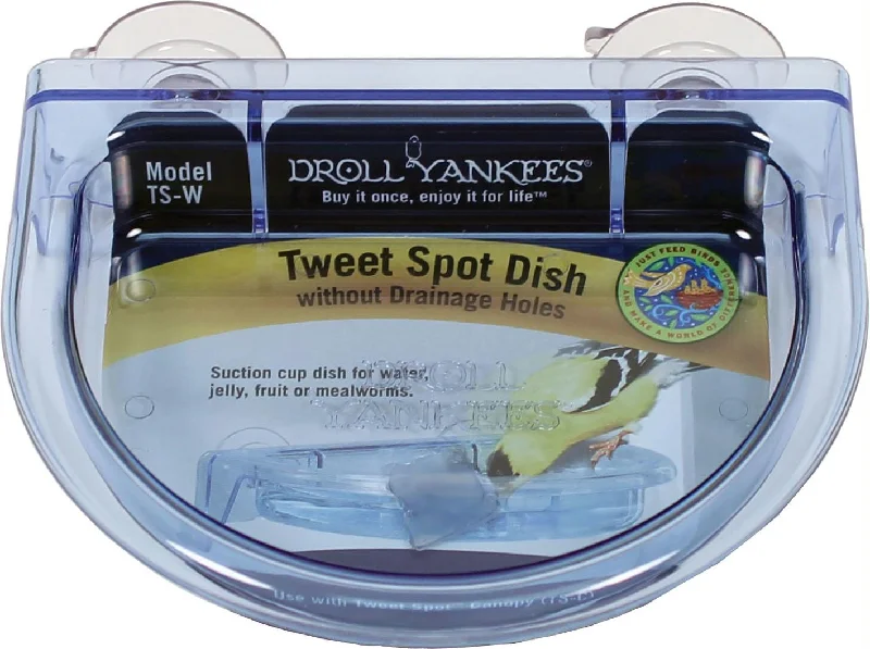 Tweet Spot Dish Without Drainage Holes